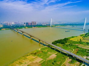 黄石4座跨长江大桥,见证了城市发展变迁